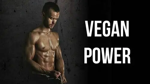 Как веганская диета поддерживает меня энергичным, умственно острым и полным драйва