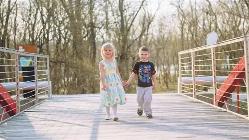 Соперничество между братьями и сестрами: 10 лучших советов, как предотвратить эту возмездие родителей