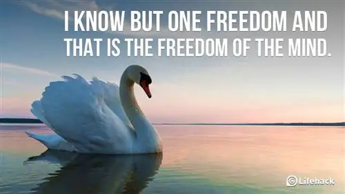 Простое руководство по внимательности для начинающих