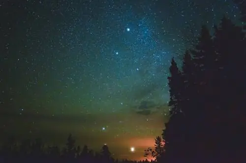 20 увлекательных веб-камер, которые вы можете посмотреть онлайн прямо сейчас