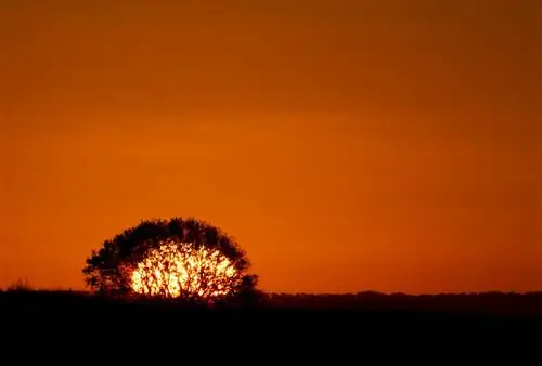 10 способов хорошо провести утро