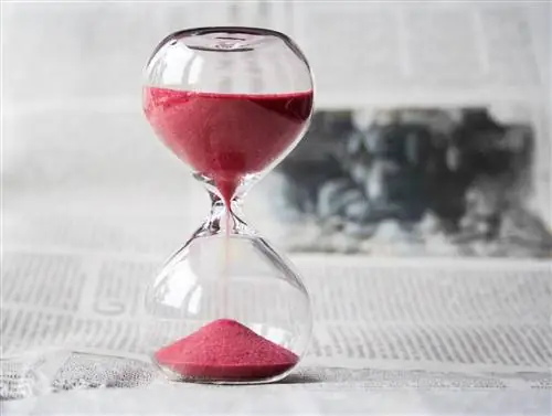 15 способов, которыми вы тратите время впустую в течение дня (и как это прекратить)