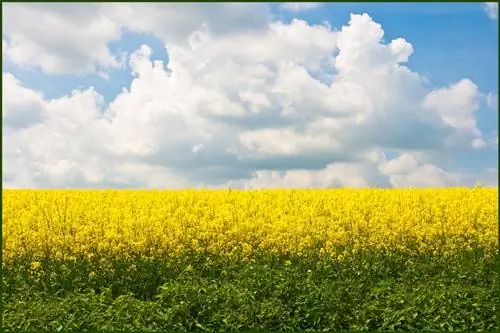 Самые важные вещи, которые вы должны знать, чтобы победить страх и жить лучше