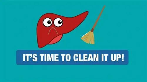 Пора почистить печень! Топ-10 продуктов для детоксикации печени, которые вам нужны