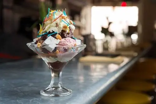 5 пикантных бутербродов с мороженым, которые не может пропустить каждый любитель десертов