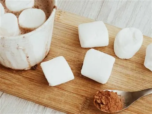 Что эксперимент с зефиром учит нас твердости характера