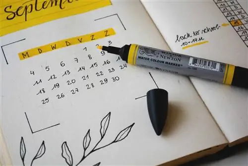 Что такое Bullet Journal и в чем его преимущества?