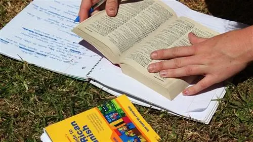 5 языков, которые нужно выучить, чтобы изменить будущее