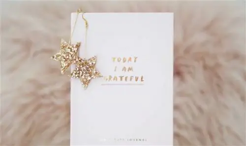 Что такое благодарность и почему она важна?