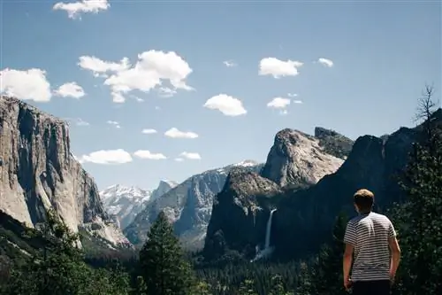 Как люди принимают плохие для них решения