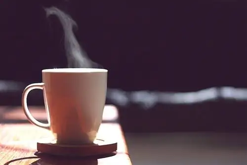 Используйте этот простой трюк, чтобы победить любую вредную привычку