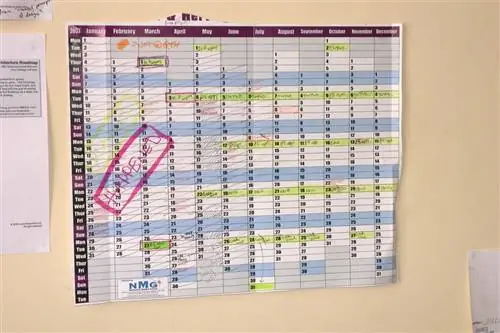 Повысьте продуктивность жизни с помощью этих 7 советов