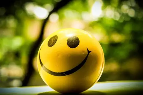 18 простых способов вернуть смех в вашу жизнь