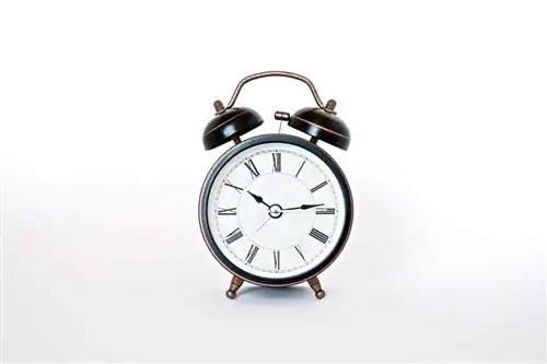 Станьте продуктивнее: 15 идей, которые действительно работают