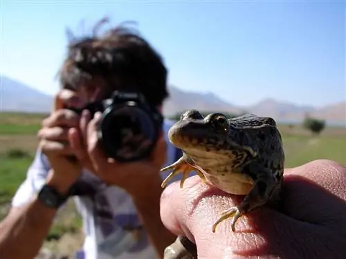 12 способов заработать деньги без работы