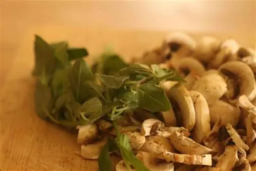 12 греховно простых рецептов грибов, которые вы можете попробовать прямо сейчас