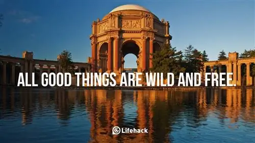 5 приложений-задач для визуальных мыслителей