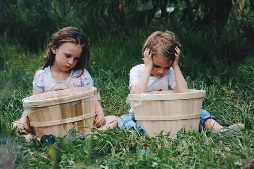 Итак, вы думаете, что ваш ребенок испытывает трудности в обучении? 10 лучших вещей, которые вы должны сделать дальше