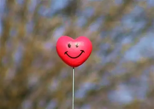 Когда вы чувствуете себя подавленным, эти 22 вещи вызовут улыбку на вашем лице