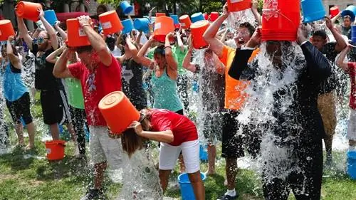 7 важных вещей, которые вы не должны игнорировать, принимая вызов Ice Bucket Challenge