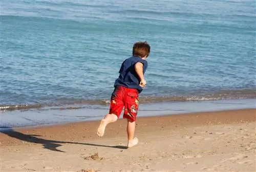 Жизнь - это марафон. Простая техника, чтобы поддерживать темп