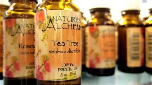 9 способов применения масла чайного дерева