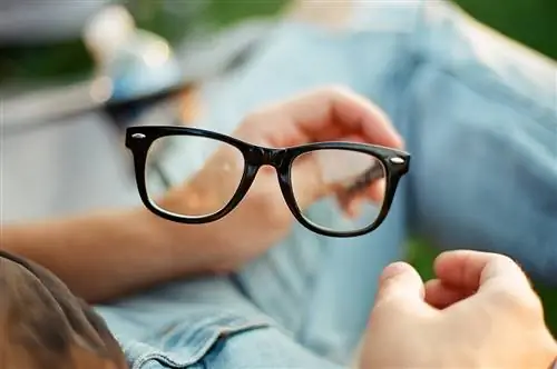 25 веселых истин о жизни и любви, которые мы можем узнать из фильмов Вуди Аллена