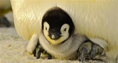 8 способов выглядеть уверенно, даже если вы этого не чувствуете