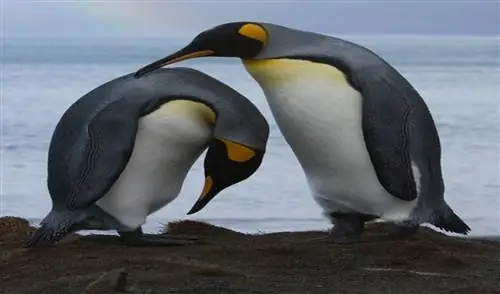 8 смертельных ловушек, из-за которых мы не можем выполнять повседневную работу