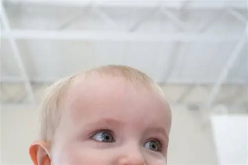 Почему левое полушарие мозга против правого - это миф (подтвержденный наукой)