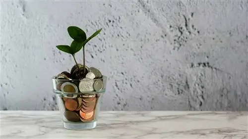 5 советов, как справиться с финансовым стрессом и как прийти в себя