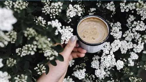 15 научных исследований о пользе кофе для здоровья