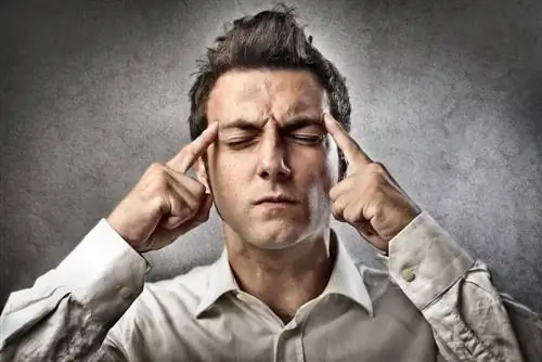 6 способов активизировать свой мозг