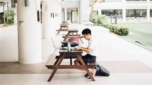 Почему образование лучше школы