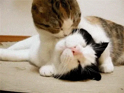 Изображение Изображение