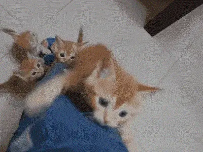 Изображение Изображение