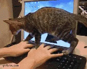 Изображение Изображение