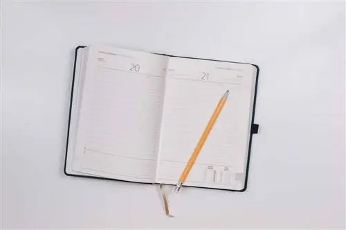 10 научных способов улучшить долговременную память