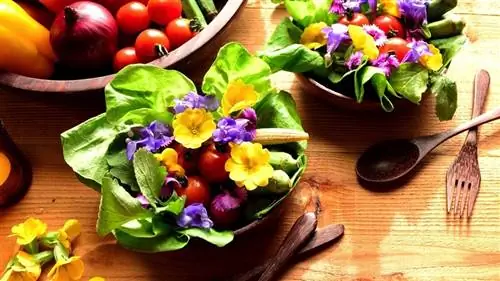 20 цветов, о которых вы, вероятно, никогда не знали, что они съедобны и добавят вкус и цвет вашему праздничному блюду
