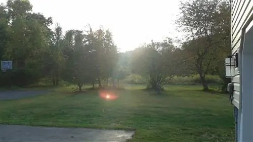 20 удивительных жизненных уроков, которым нас научила природа