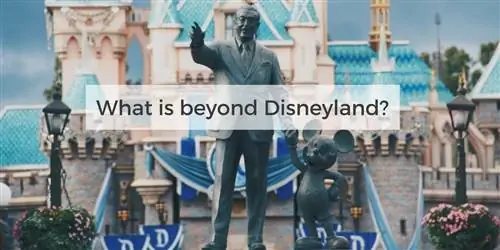 Другая сторона Флориды Диснейленд, которую вы никогда не видели