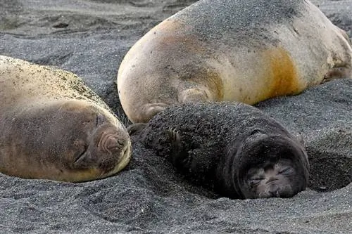 12 способов определить высокооплачиваемого сотрудника