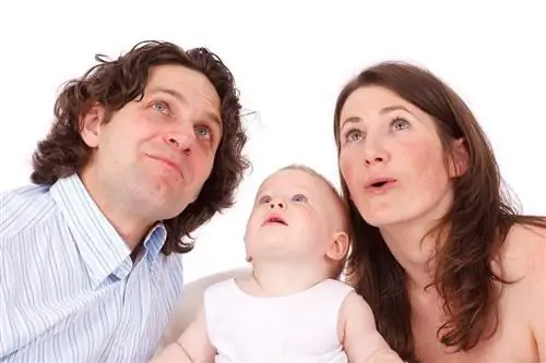 Пытаетесь стать взрослым? Вы не одиноки