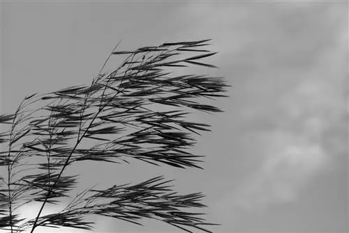 10 вещей, которые не делают эмоционально устойчивые люди