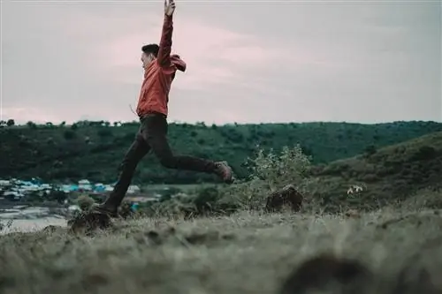 Позитивная мотивация против негативной мотивации: какая из них лучше?