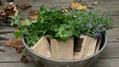 20 удивительных способов использования трав для исцеления тела и разума