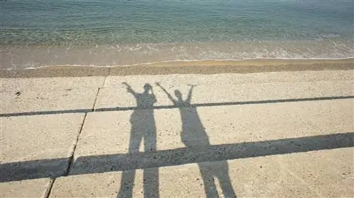 15 вещей, которые делают эмоционально здоровые люди