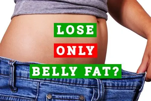 Самый большой миф о потере жира на животе: можно ли избавиться только от жира на животе?