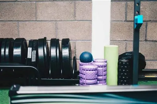 7 лучших роликов из пены для расслабления мышц