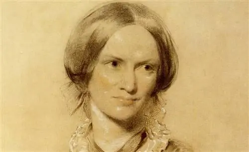 «Я не птица, и никакая сеть не уловит меня: я свободный человек с независимой волей». - Шарлотта Бронте'